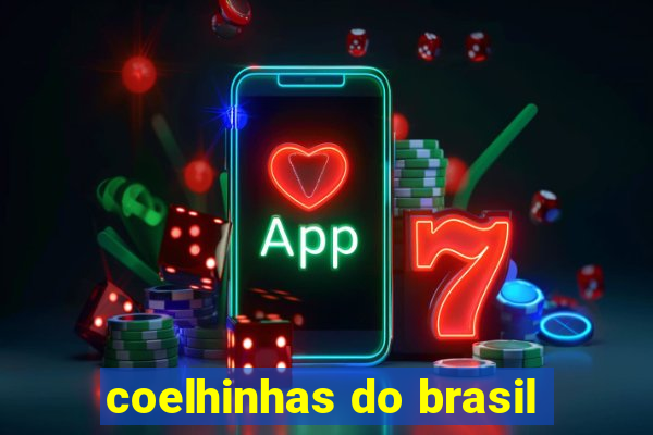 coelhinhas do brasil